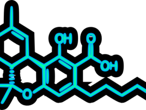 THC-A